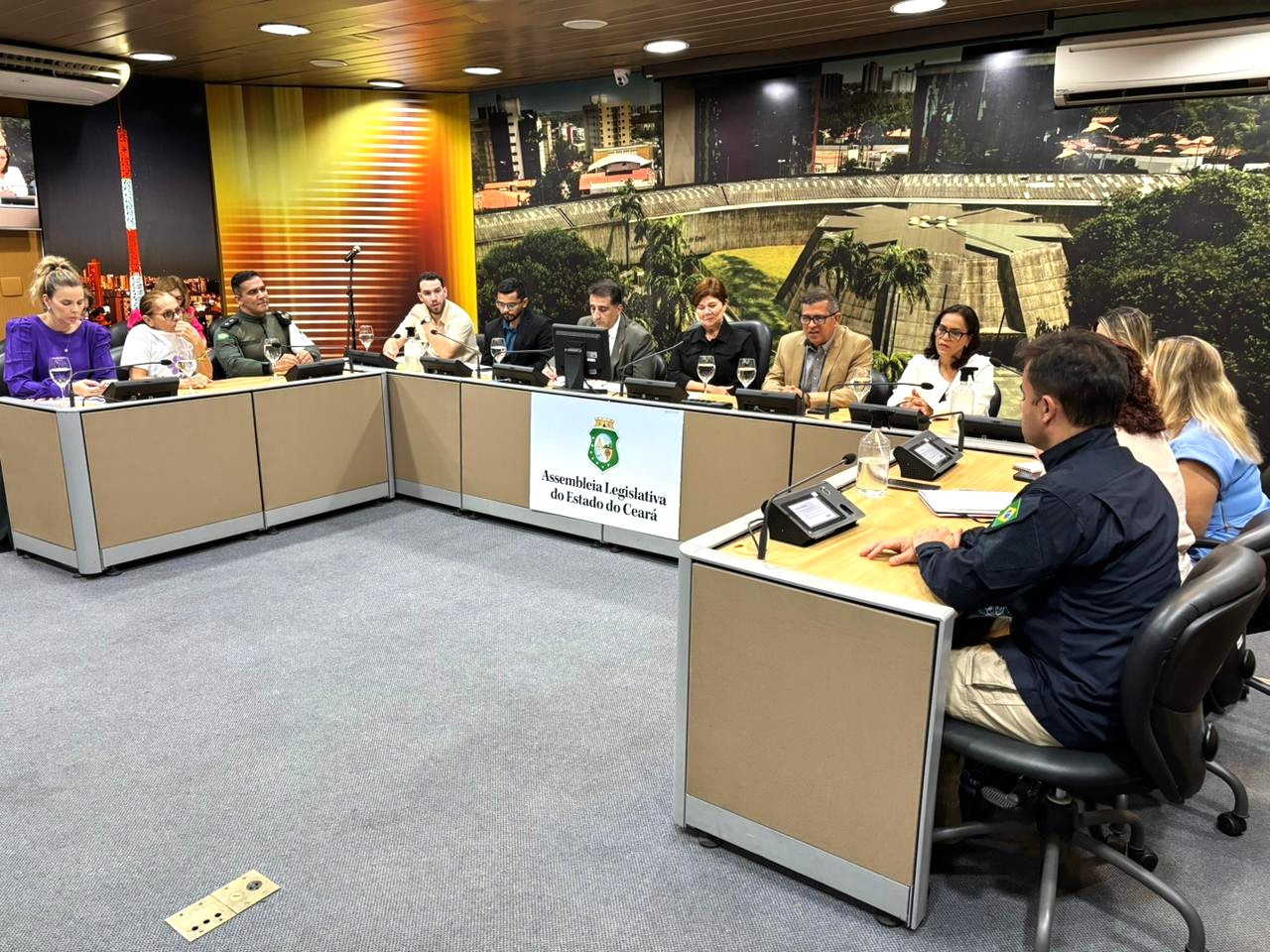 Enfrentamento ao desaparecimento de pessoas foi tema de audiência pública nesta segunda-feira (17)