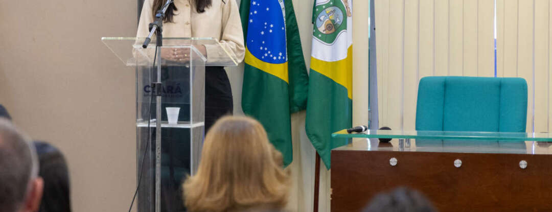 Seminário destaca oportunidades de captação de recursos para estados e municípios