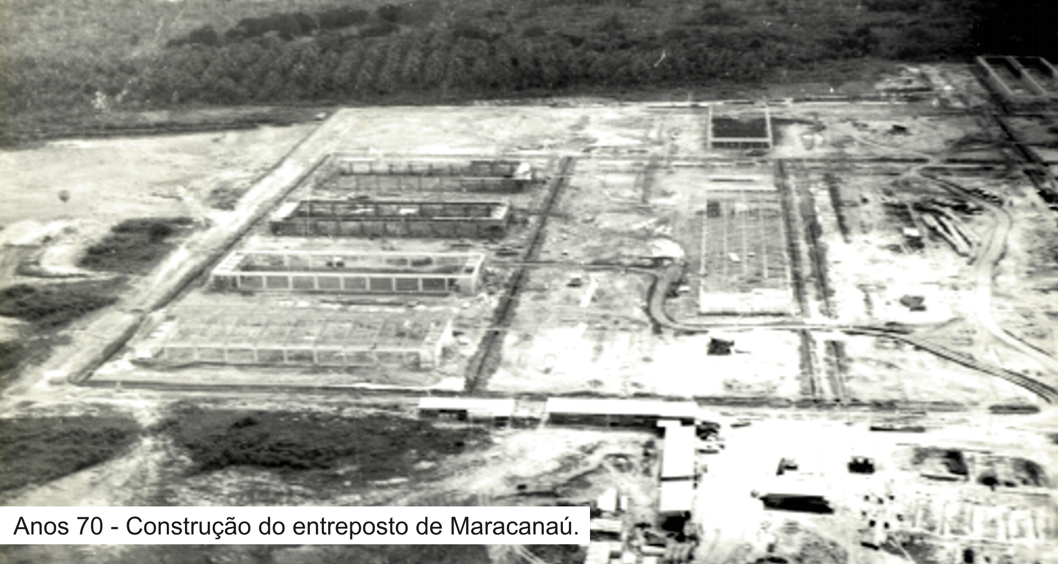 Ceasa 40 anos: qualidade na mesa dos cearenses
