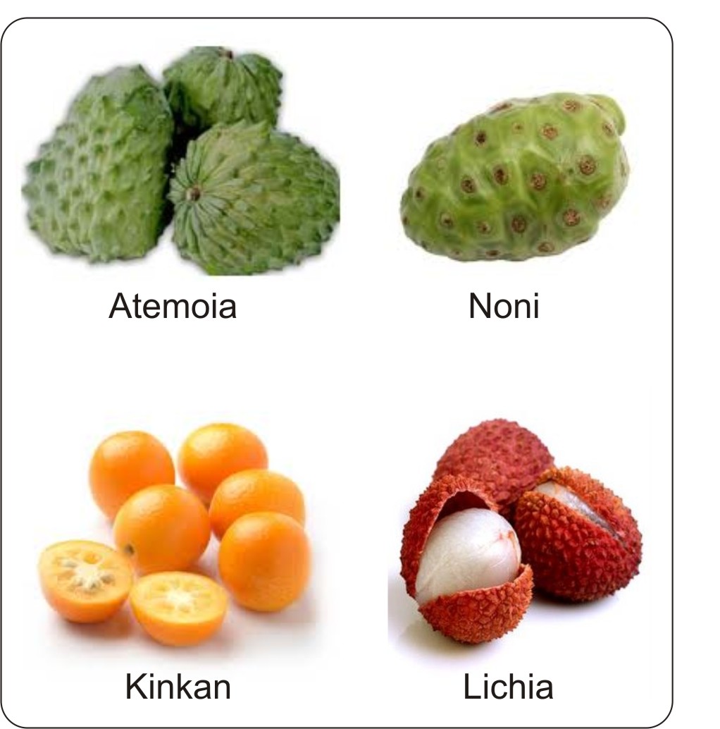 Frutas exóticas: sabores e aparências que conquistam o mercado cearense