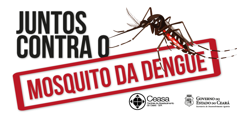 Ceasa organiza comissão no combate ao mosquito da dengue