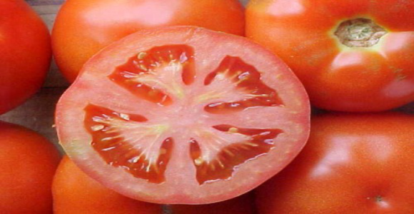 Chuvas no Ceará influenciam queda no preço do tomate