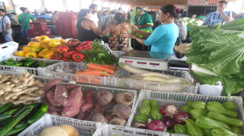 Ceasa- Saiba os horários de comercialização durante o Carnaval