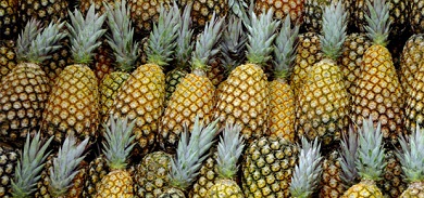 Semana inicia com redução no preço das frutas na Ceasa-CE