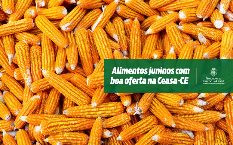 Alimentos típicos juninos com boa oferta na Ceasa-CE