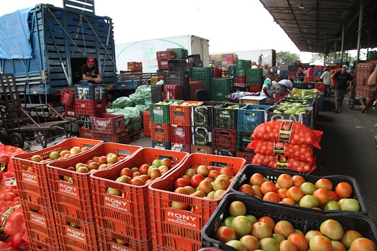 Boas safras fazem o preço do tomate cair 28,57% na Ceasa-CE   