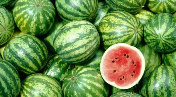 Semana na Ceasa-CE começa com preços em queda para a melancia, laranja e tomate