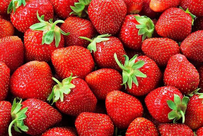 Confira os benefícios do morango para a saúde