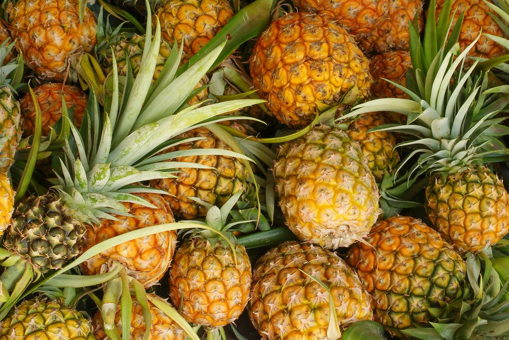 Ceasa-CE encerra a semana com grande oferta de abacaxi e banana