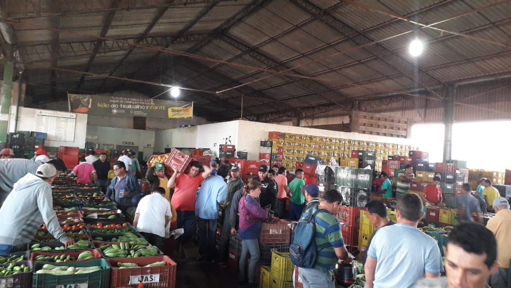 Preço do quilo da banana, mamão e tomate cai para R$ 1,00 em Tianguá