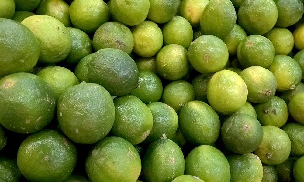 Preço do limão Taiti cai 33,3% na Ceasa Cariri