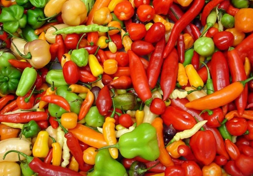 Preço da pimenta de cheiro tem queda de 50% em Tianguá