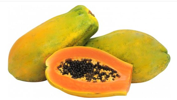 Preço do mamão formosa despenca 30% no Cariri
