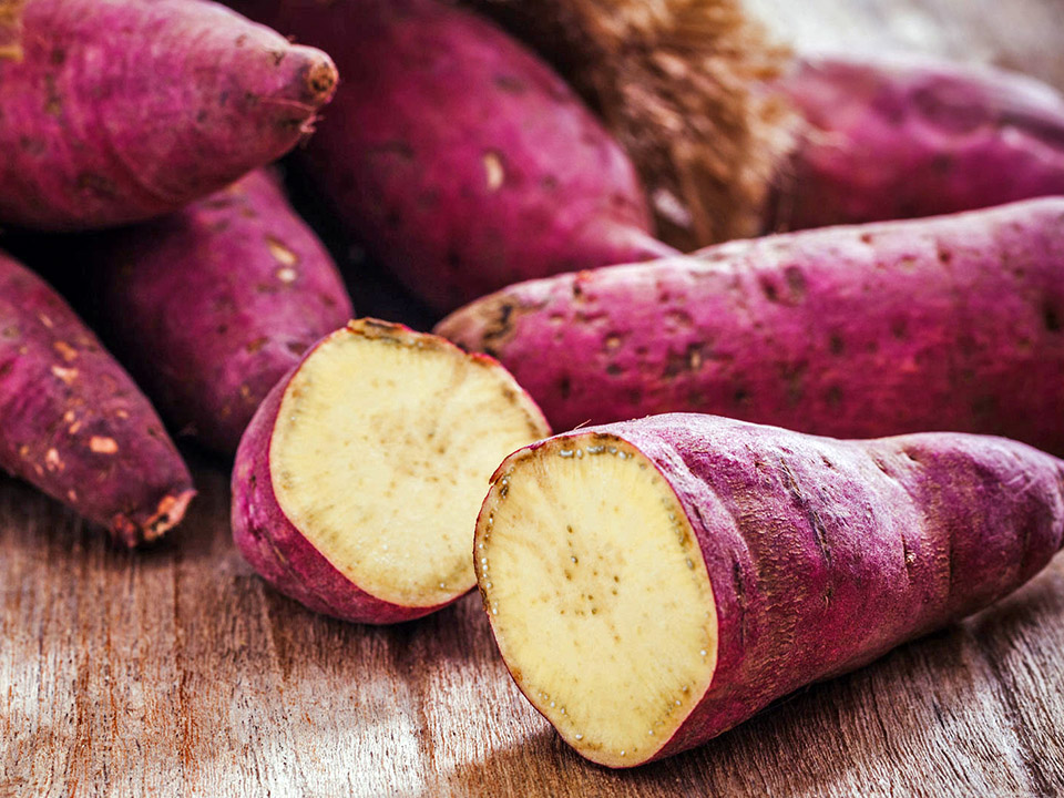 Batata doce, macaxeira e milho verde com preços convidativos na Ceasa-CE