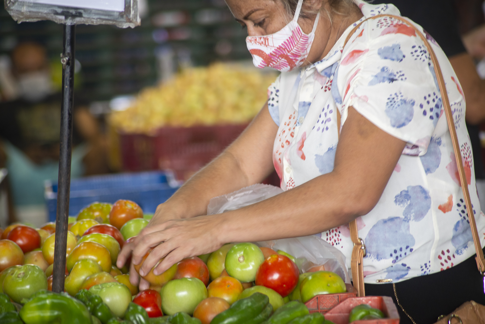 Cai preço do tomate na Ceasa-CE
