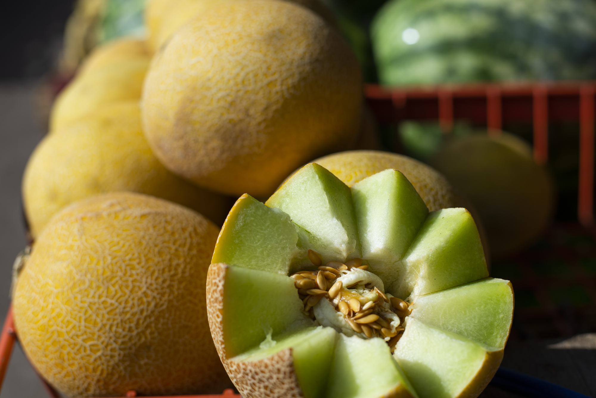 Melão é vendido a R$ 2,00/kg na Ceasa-CE