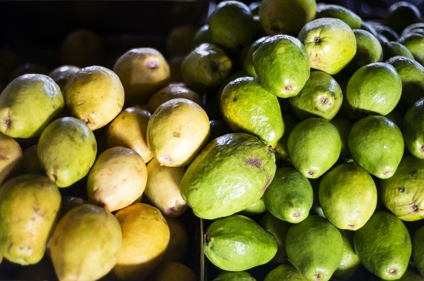 Goiaba e abacate em oferta na Ceasa Cariri