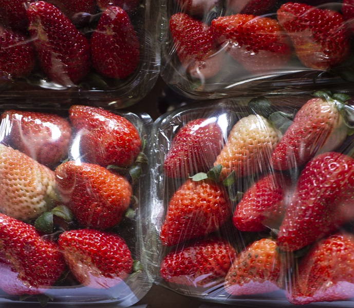 Semana encerra com morango a R$ 20,00/kg na Ceasa em Maracanaú