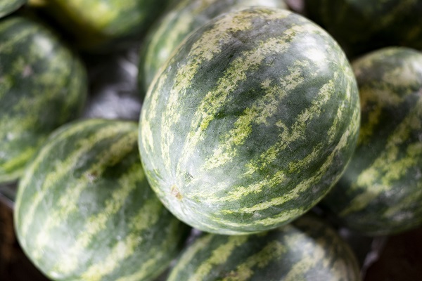 Melancia a R$ 1,00/kg na Ceasa em Maracanaú