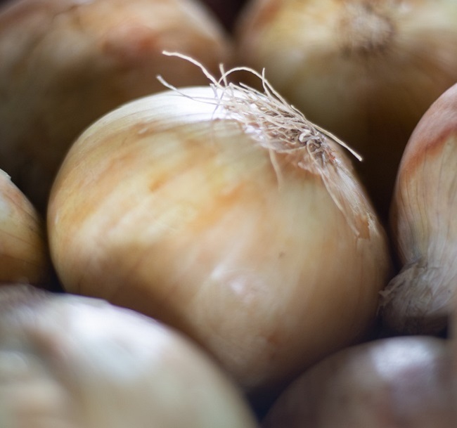 Preço da cebola pêra tem queda de 31,3% na Ceasa Cariri