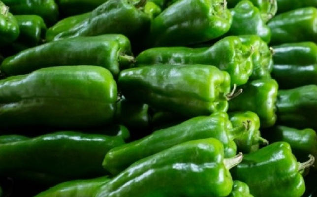 Pimentão de primeira a R$ 1,67/kg na Ceasa Tianguá