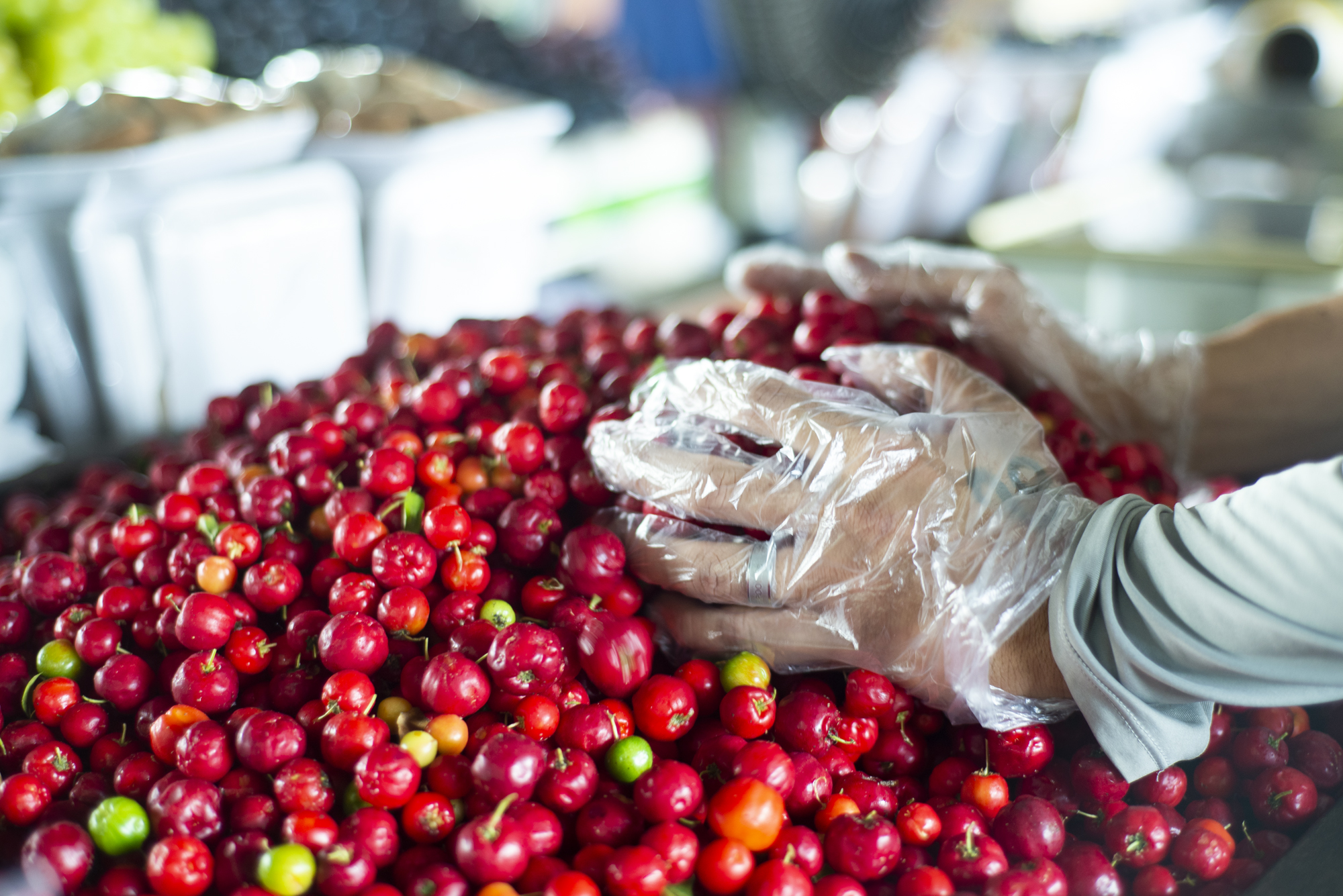 Acerola com preço atrativo na Ceasa de Maracanaú: R$ 4,00/kg