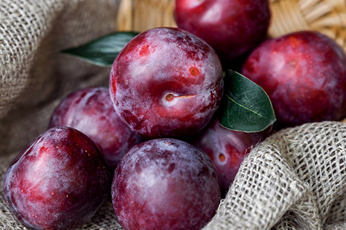 Ameixa fresca a R$ 18,00/kg na Ceasa Maracanaú