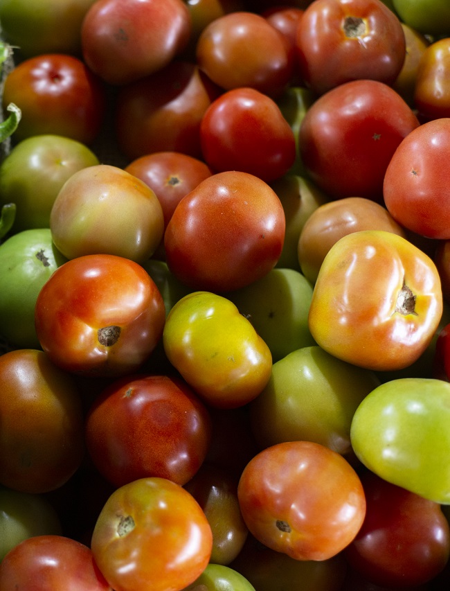 Preço do tomate cai pela segunda vez consecutiva em janeiro