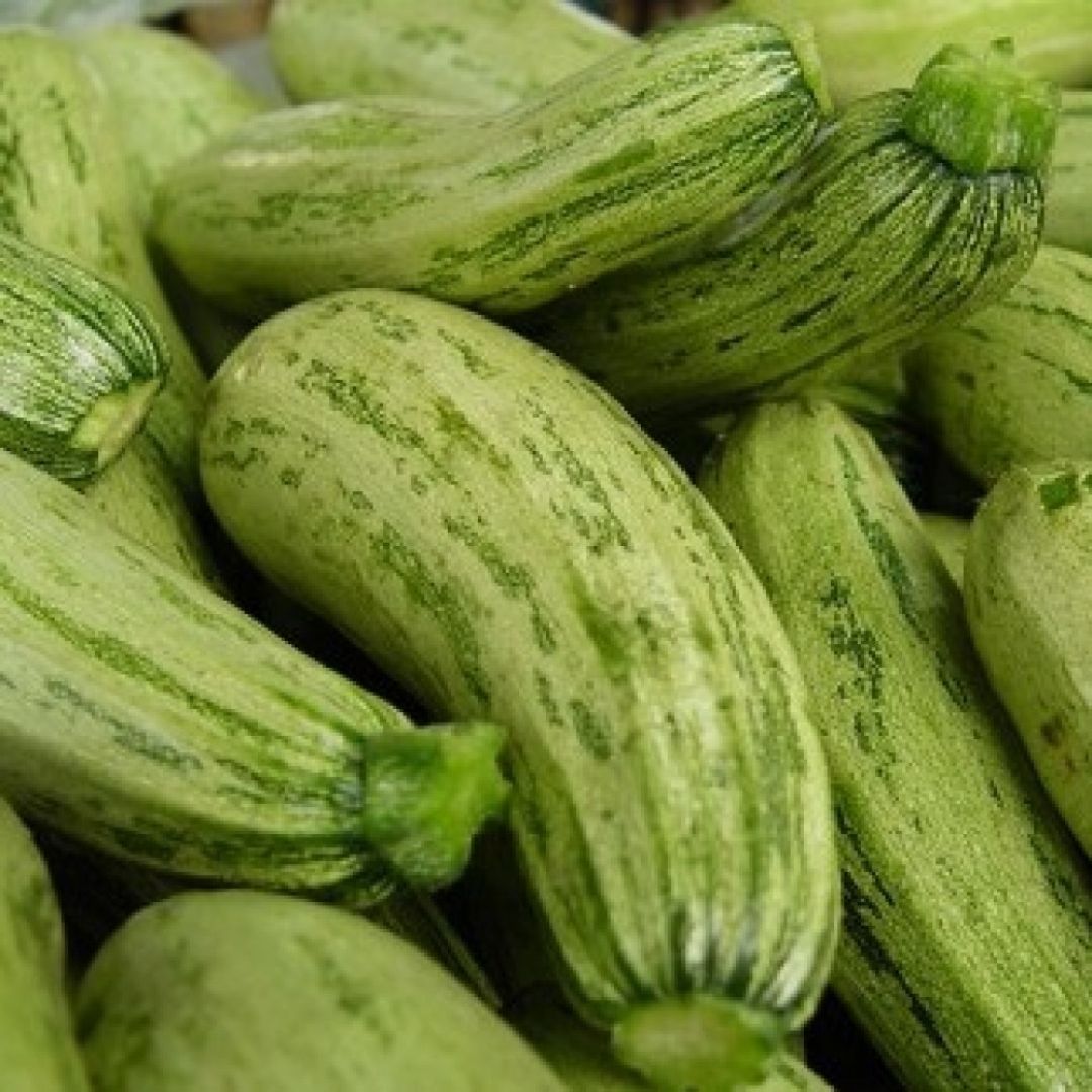 Preço da abobrinha italiana cai 45% na Ceasa em Tianguá