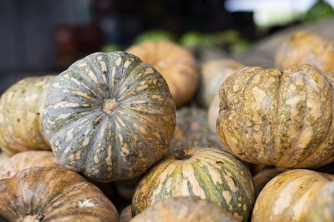 Abóbora a R$ 2,00/kg na Ceasa em Maracanaú