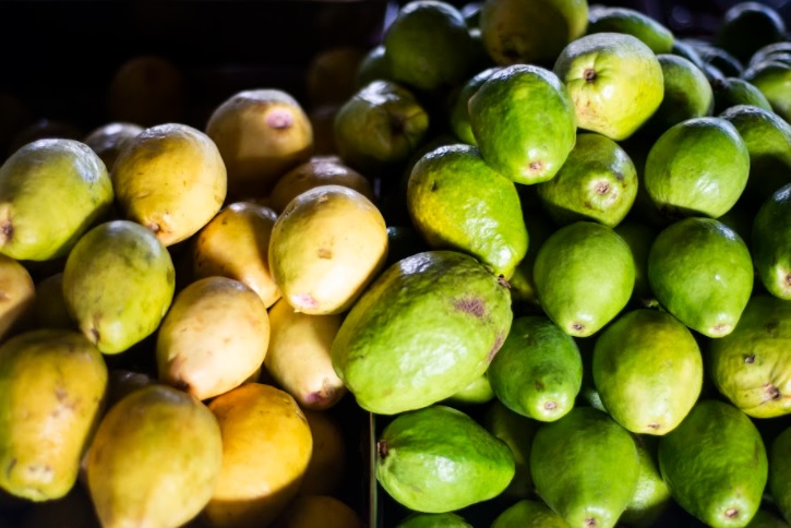 Entrando em safra, goiaba está a R$ 3,60/kg na Ceasa em Maracanaú