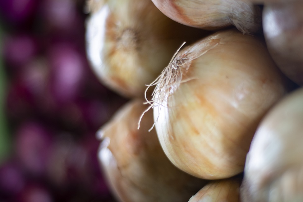 Preço da cebola pera tem queda de 25,53% na Ceasa em Maracanaú