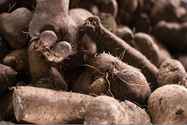 Começa a procura por produtos juninos na Ceasa em Maracanaú