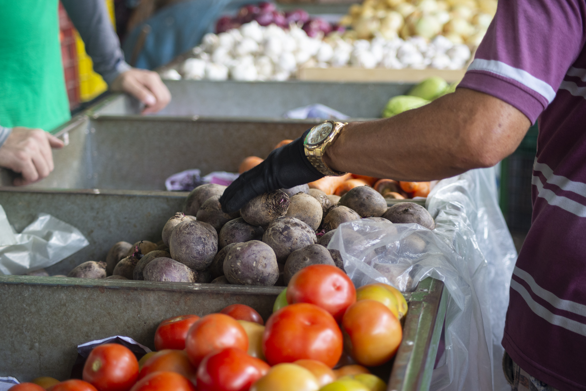 Preço do tomate longa vida cai 28,57% na Ceasa em Tianguá
