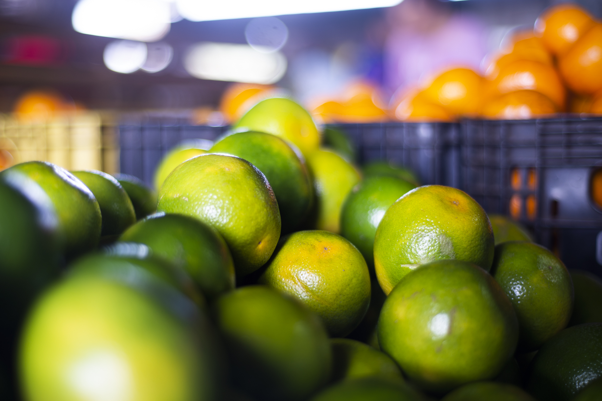 PREÇO DO LIMÃO TAITI TEM QUEDA DE 25% NA CEASA EM TIANGUÁ