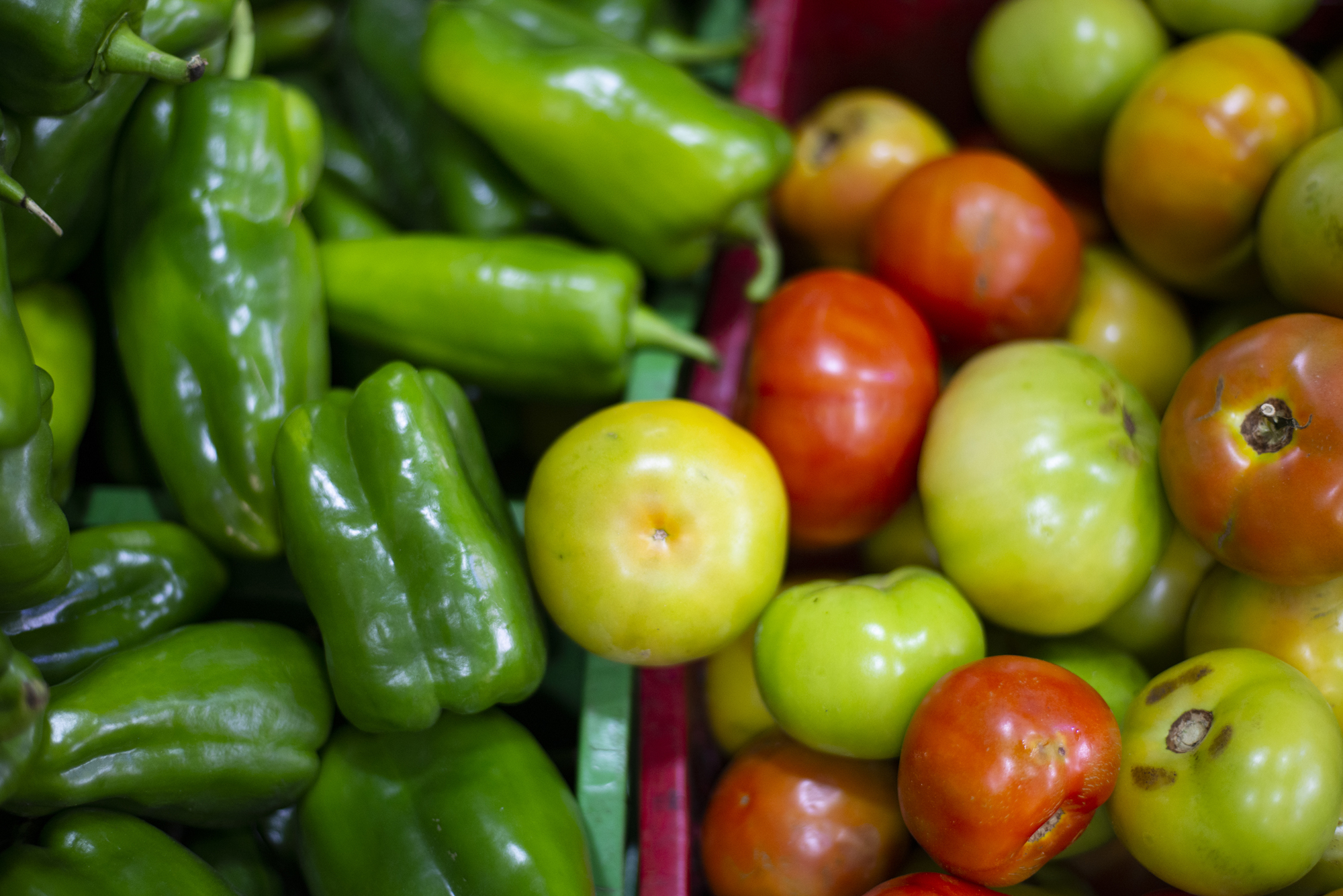 Incentivo à agricultura familiar: Uece lança edital para aquisição de alimentos