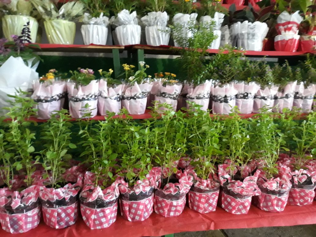 Ceasa-CE promove Feira Flor e Artesanato em alusão ao Dia das Mães