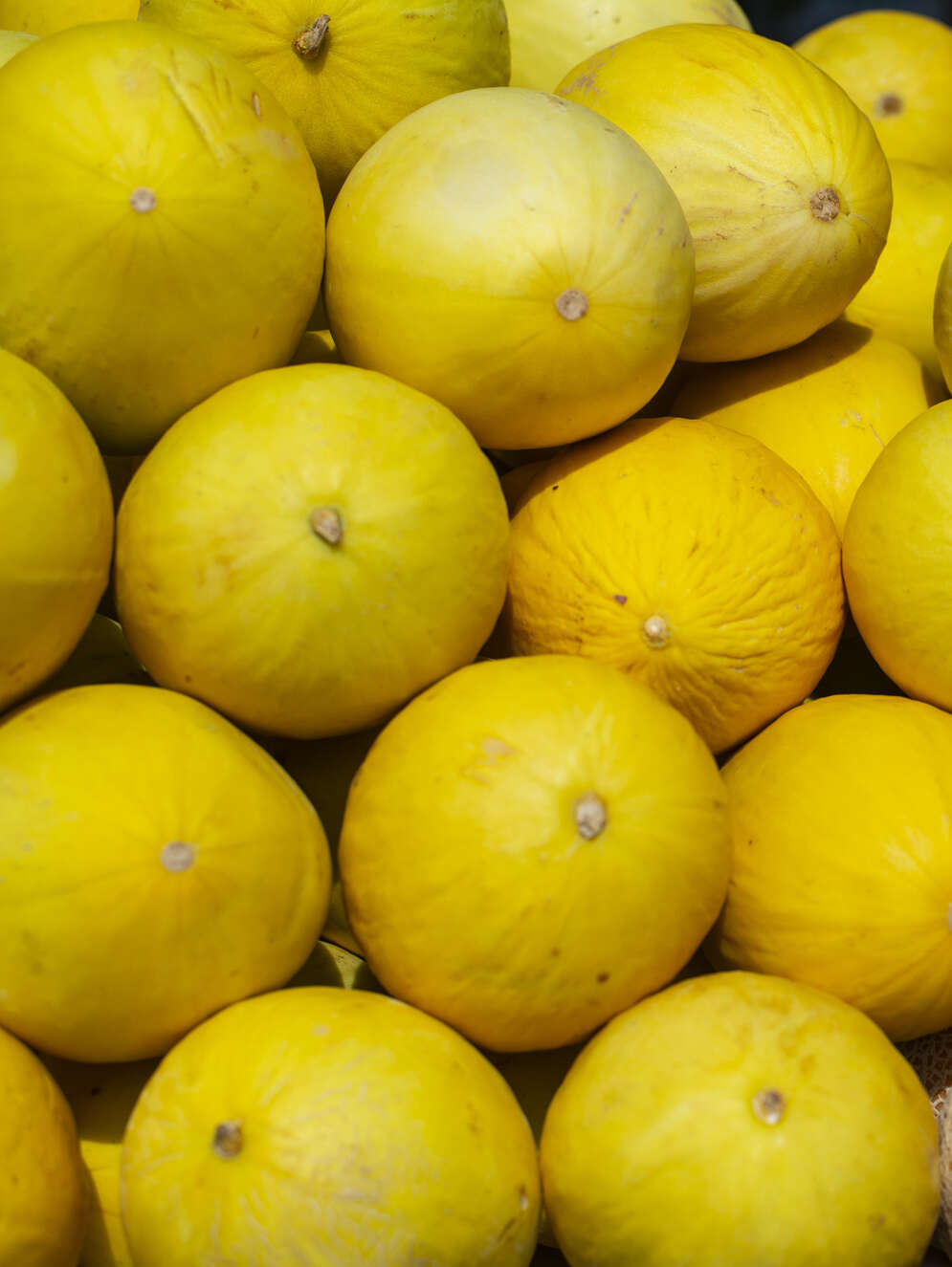Preço do melão amarelo cai 28,57% na Ceasa em Maracanaú