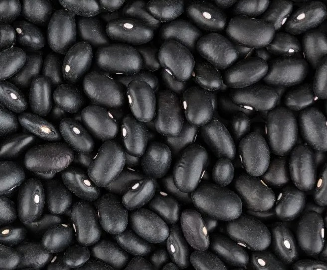 Rico em fibras, feijão preto está a R$ 6,50/kg na Ceasa em Maracanaú