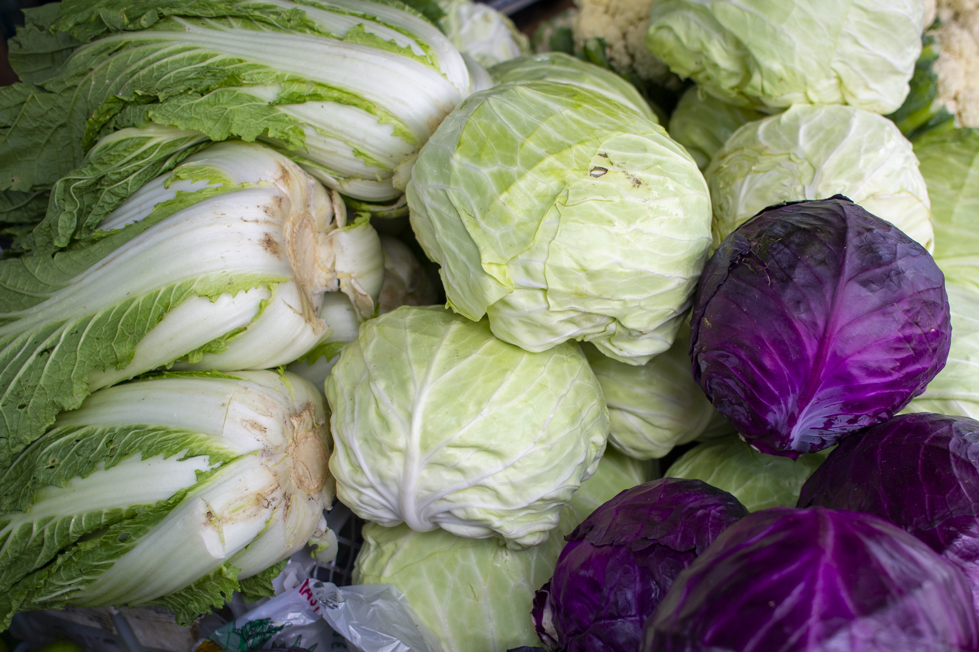 Repolho híbrido a R$ 3,00/kg na Ceasa em Maracanaú