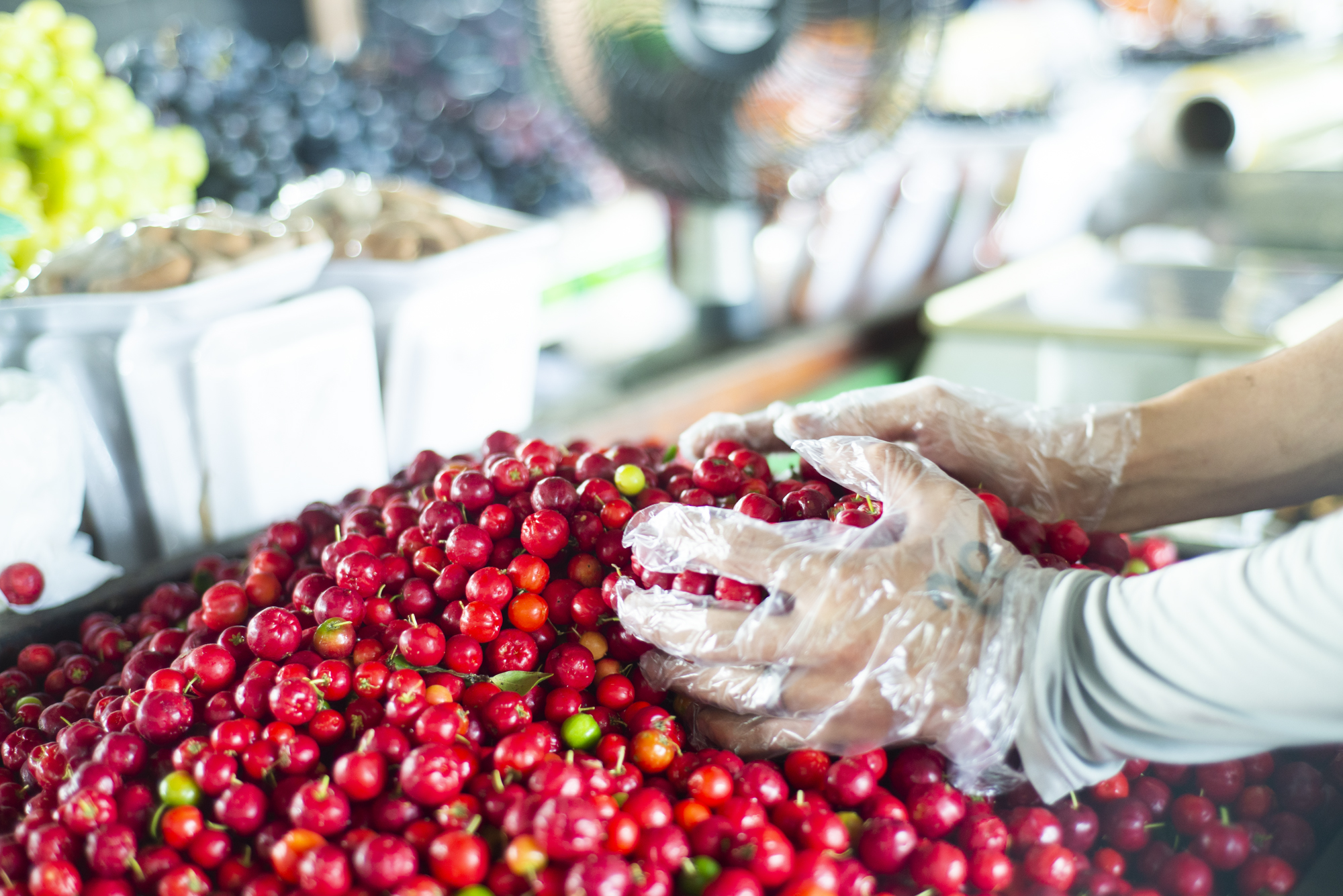 Acerola apresenta queda de 20% na Ceasa Cariri