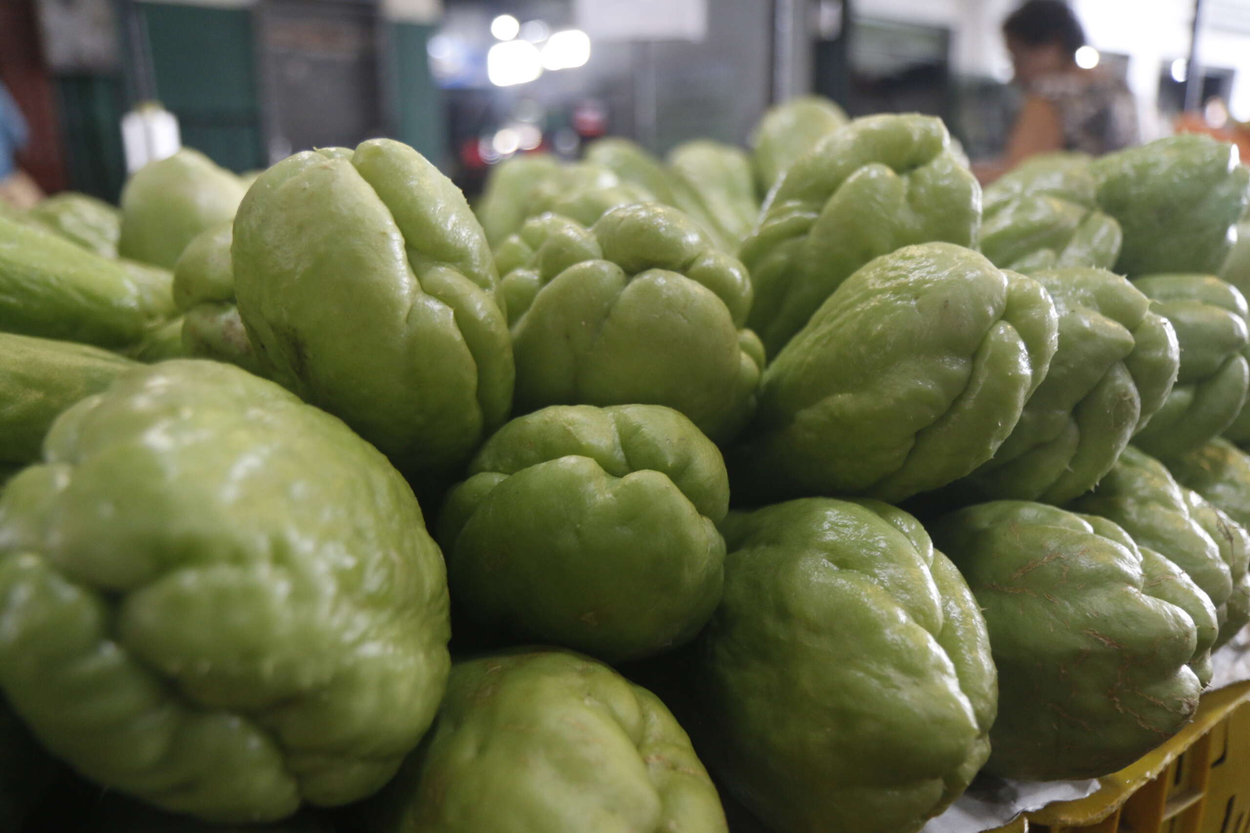 Chuchu declina 33,33% na Ceasa Tianguá