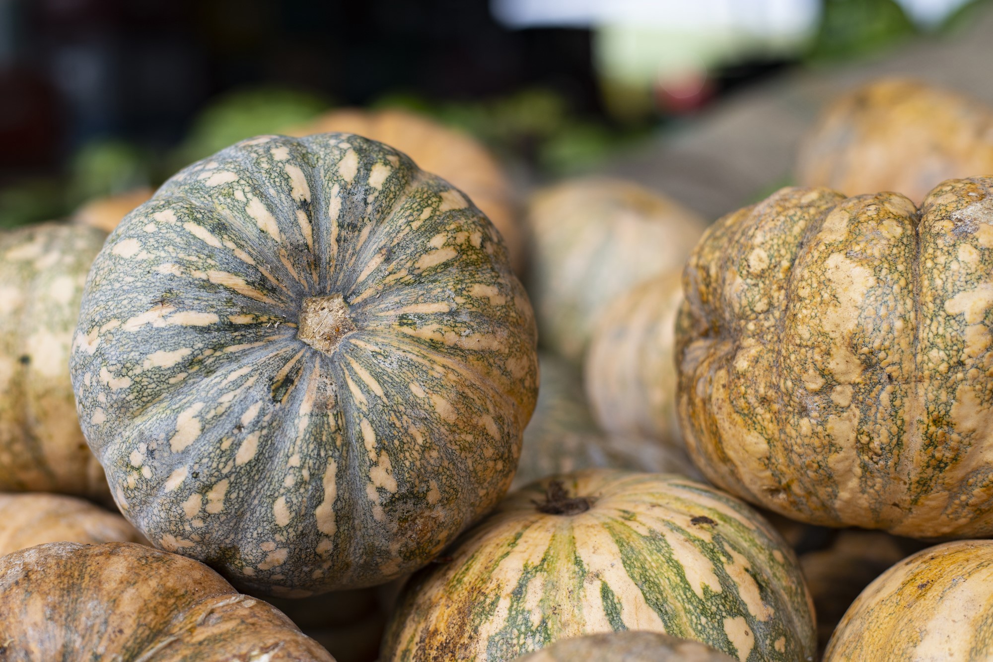 Abóbora caboclo é comercializada a R$ 2,50/kg na Ceasa Tianguá
