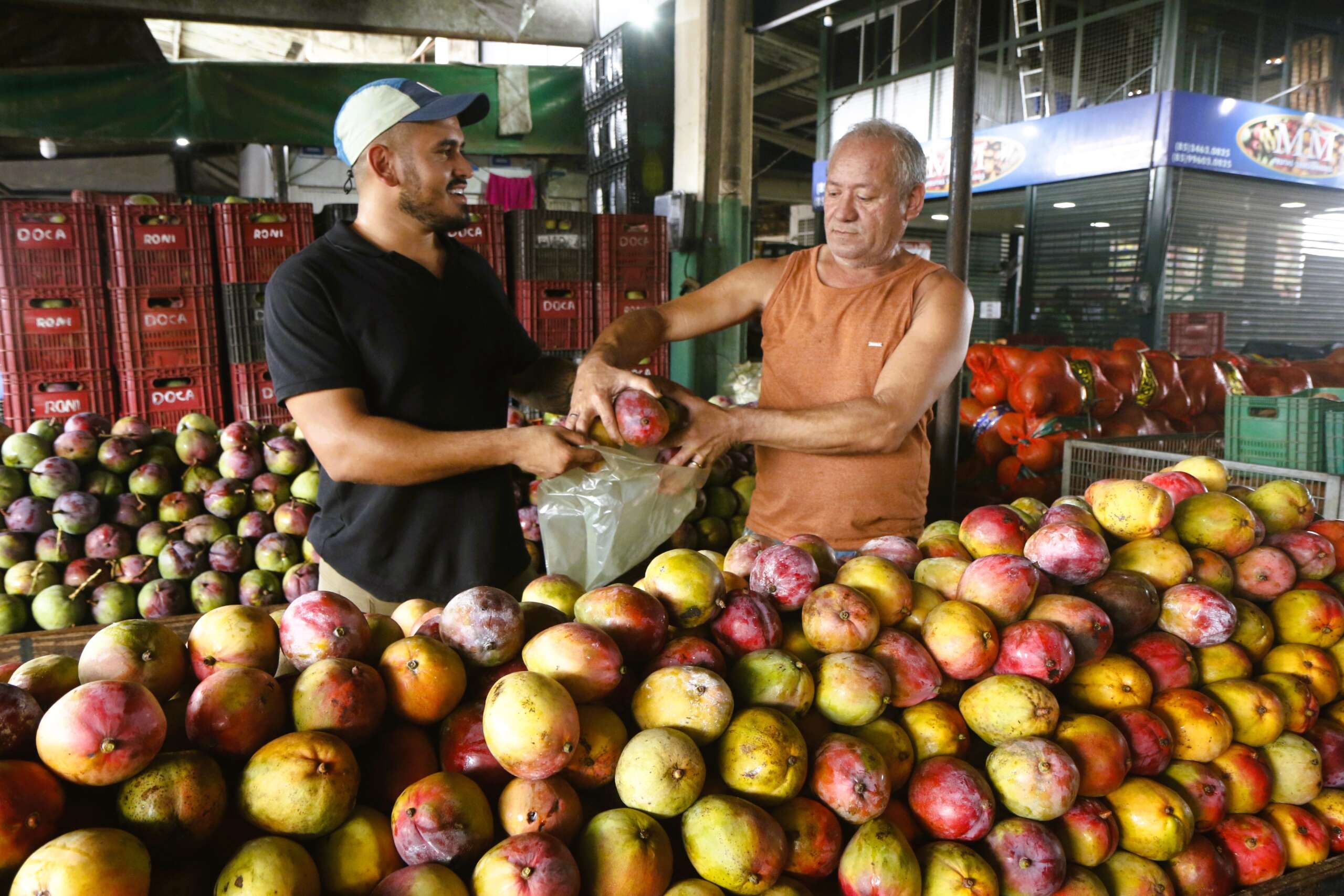 IPCE registra queda de 1,38% na cesta básica no comparativo anual