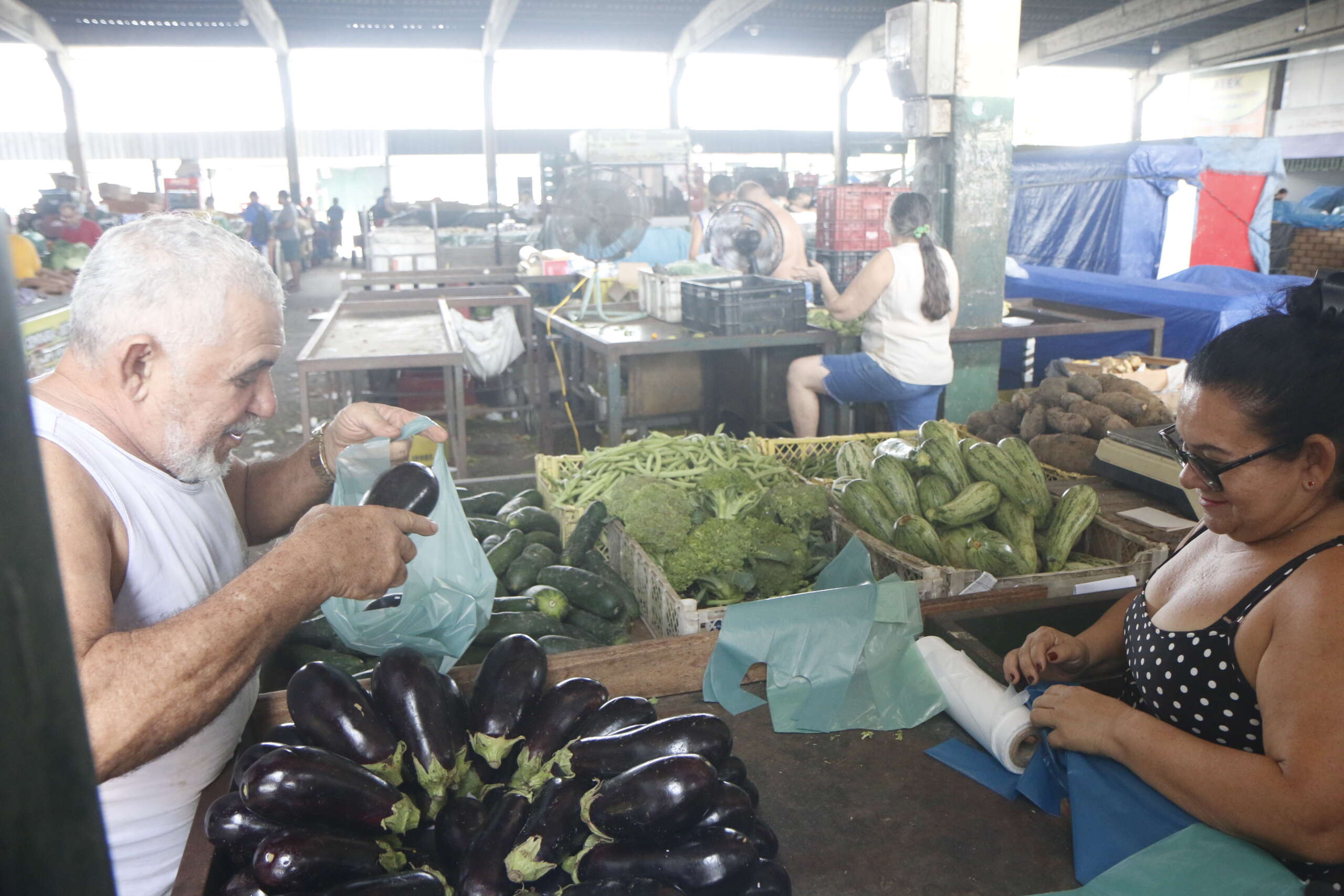 Conheça os benefícios da berinjela para a saúde