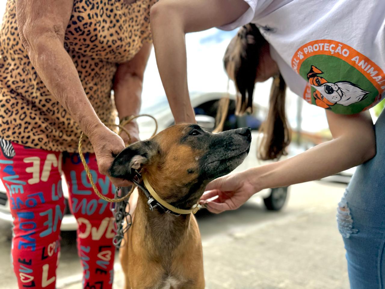 Ceasa-CE realiza ações de saúde para pet´s do entreposto de Maracanaú