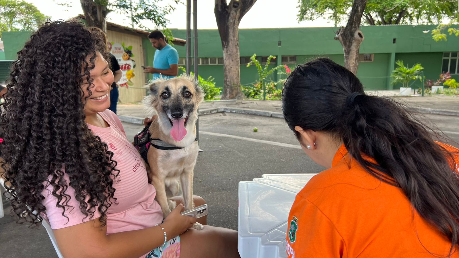 Ceasa-CE oferta serviço de castração para cães e gatos   