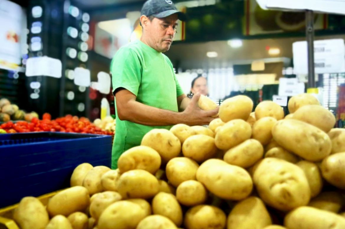 IPCE registra queda de 13,49% no Setor Raiz, Bulbo e Rizoma no acumulado anual