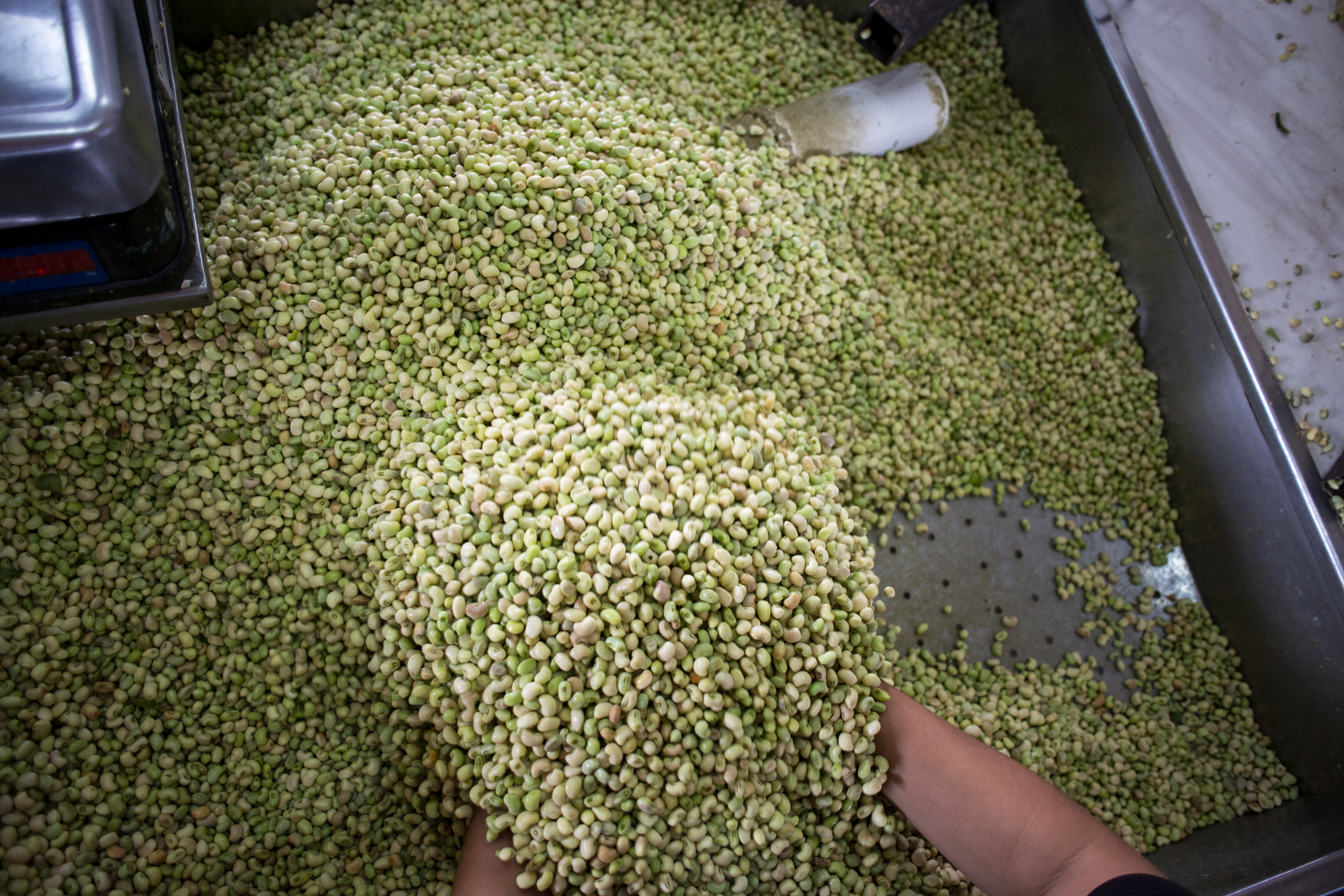 Ceasa-CE participa do Coalizão Agro Ibiapaba