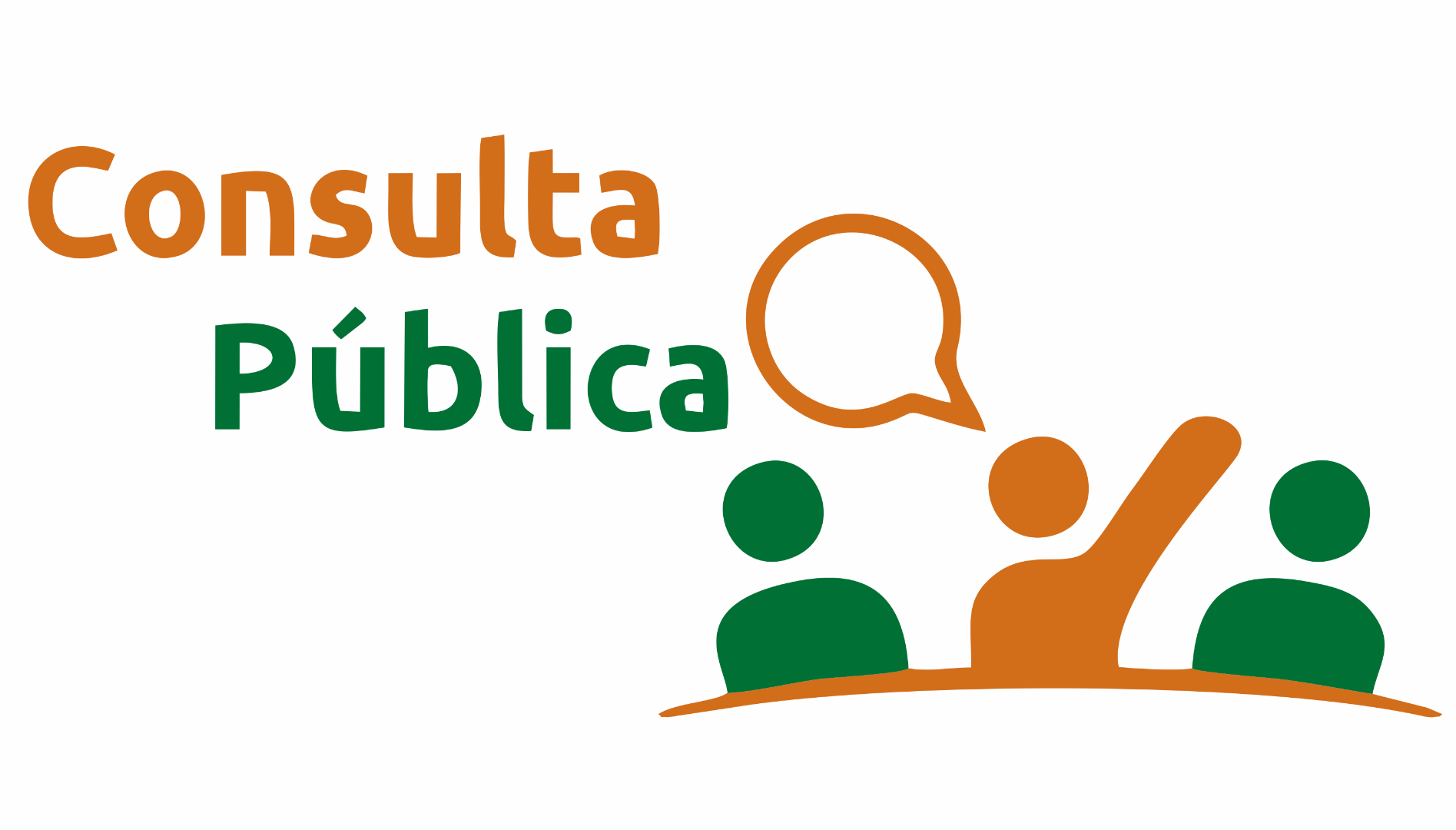 CNE realiza consulta pública